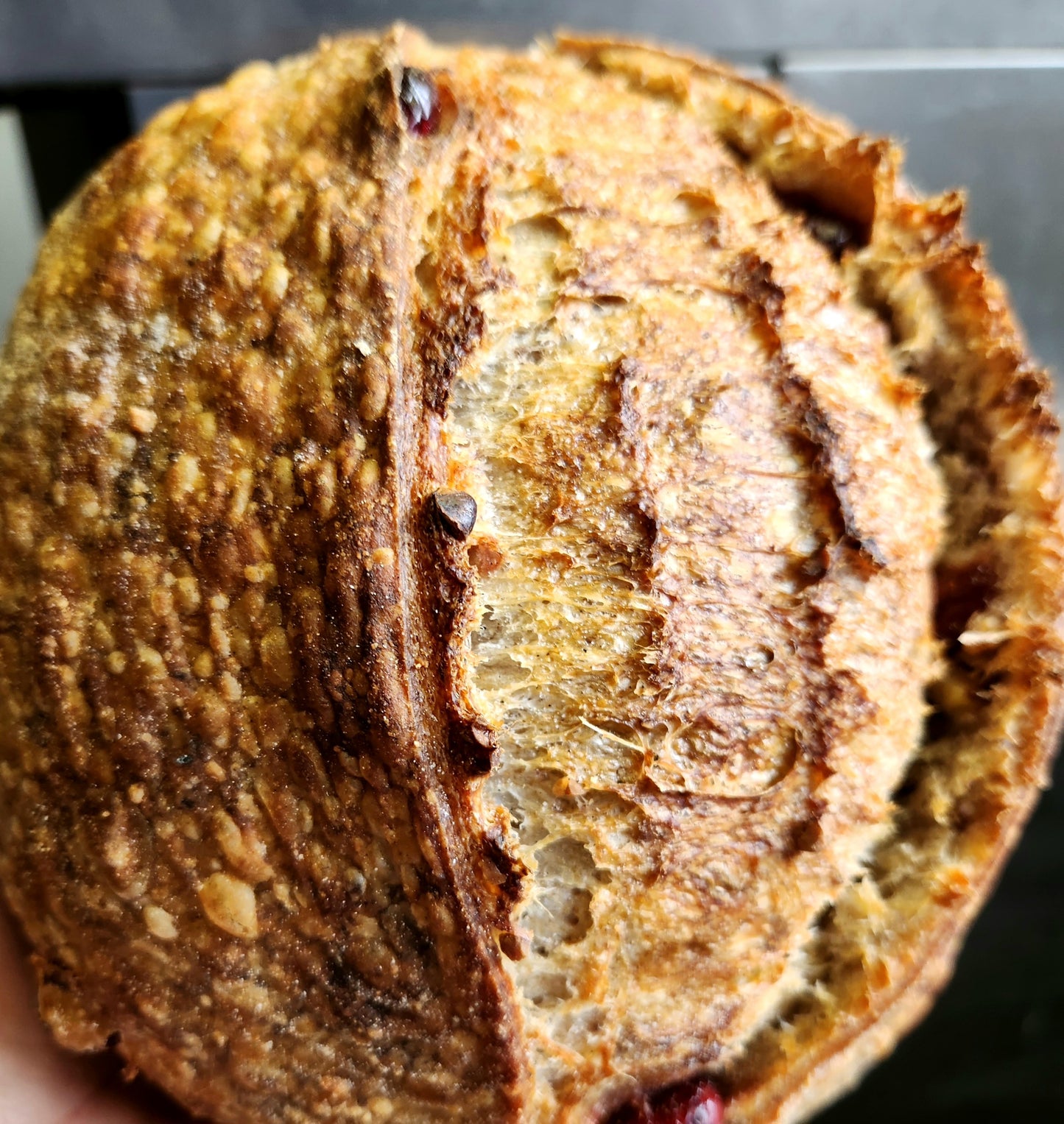 Cranberry Walnut