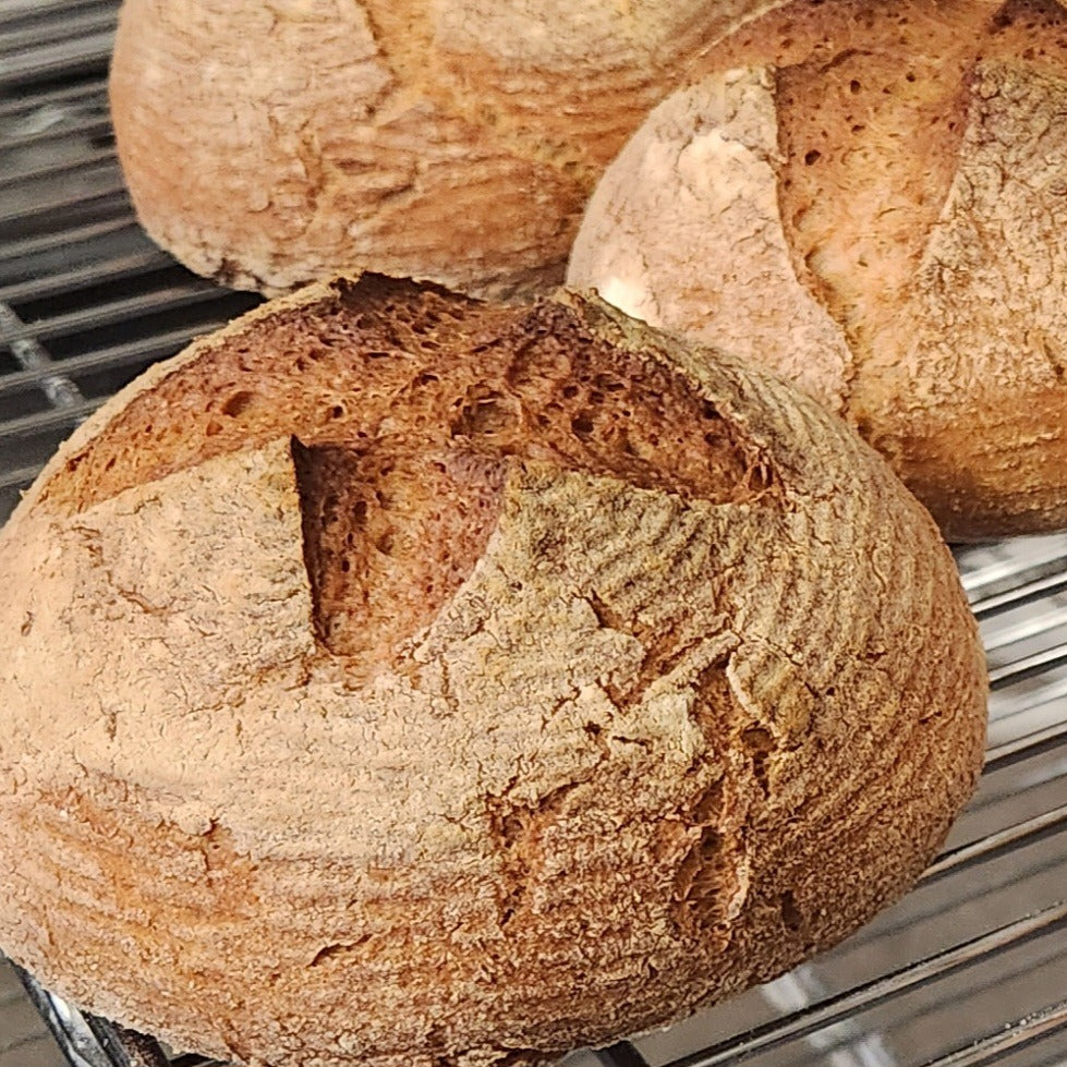 Seeded Gluten Friendly Bread