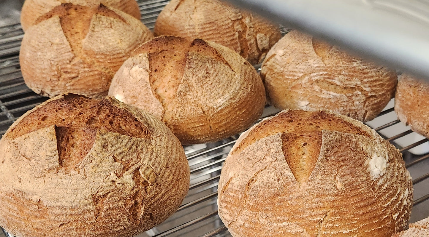 Seeded Gluten Friendly Bread