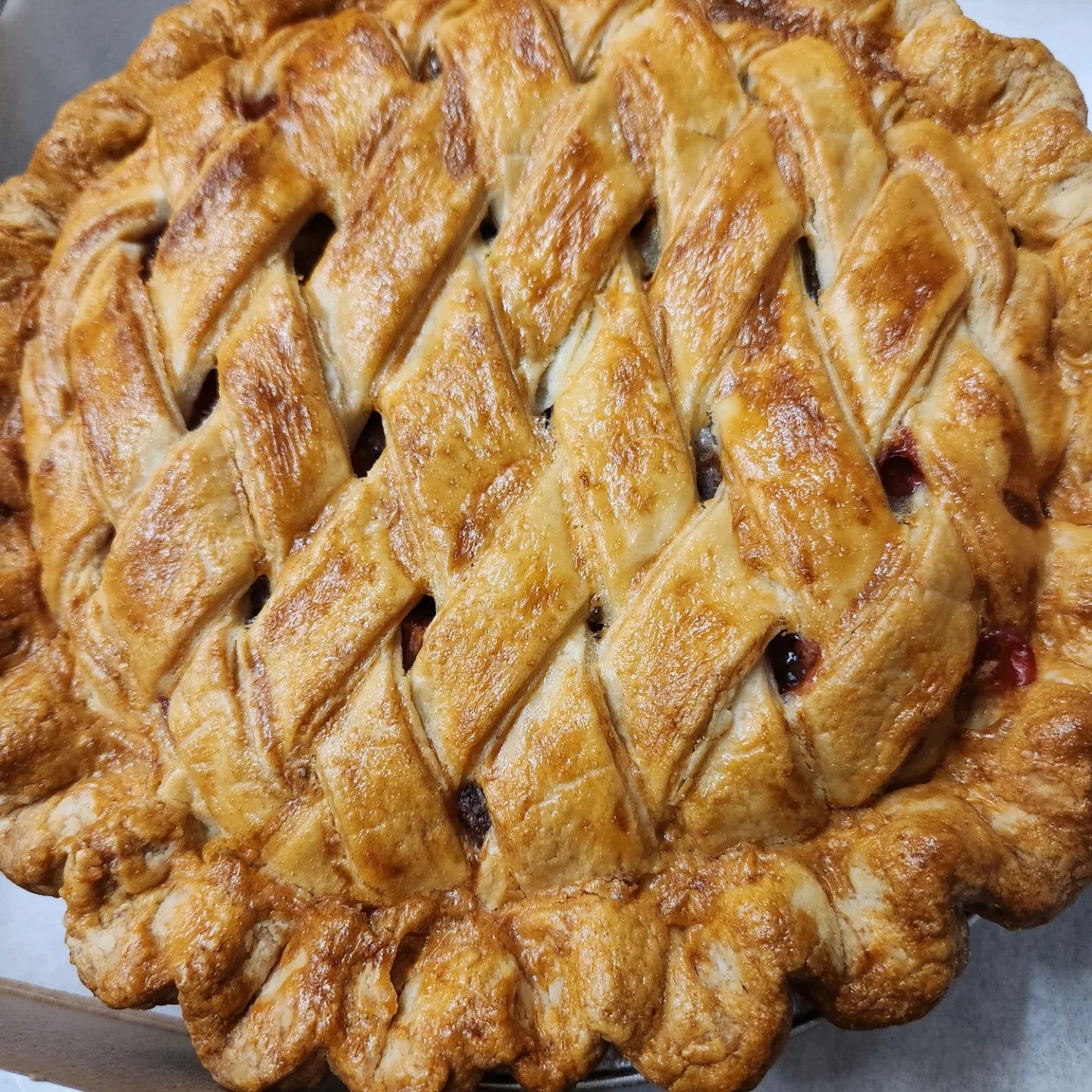 Large Fruit Pies