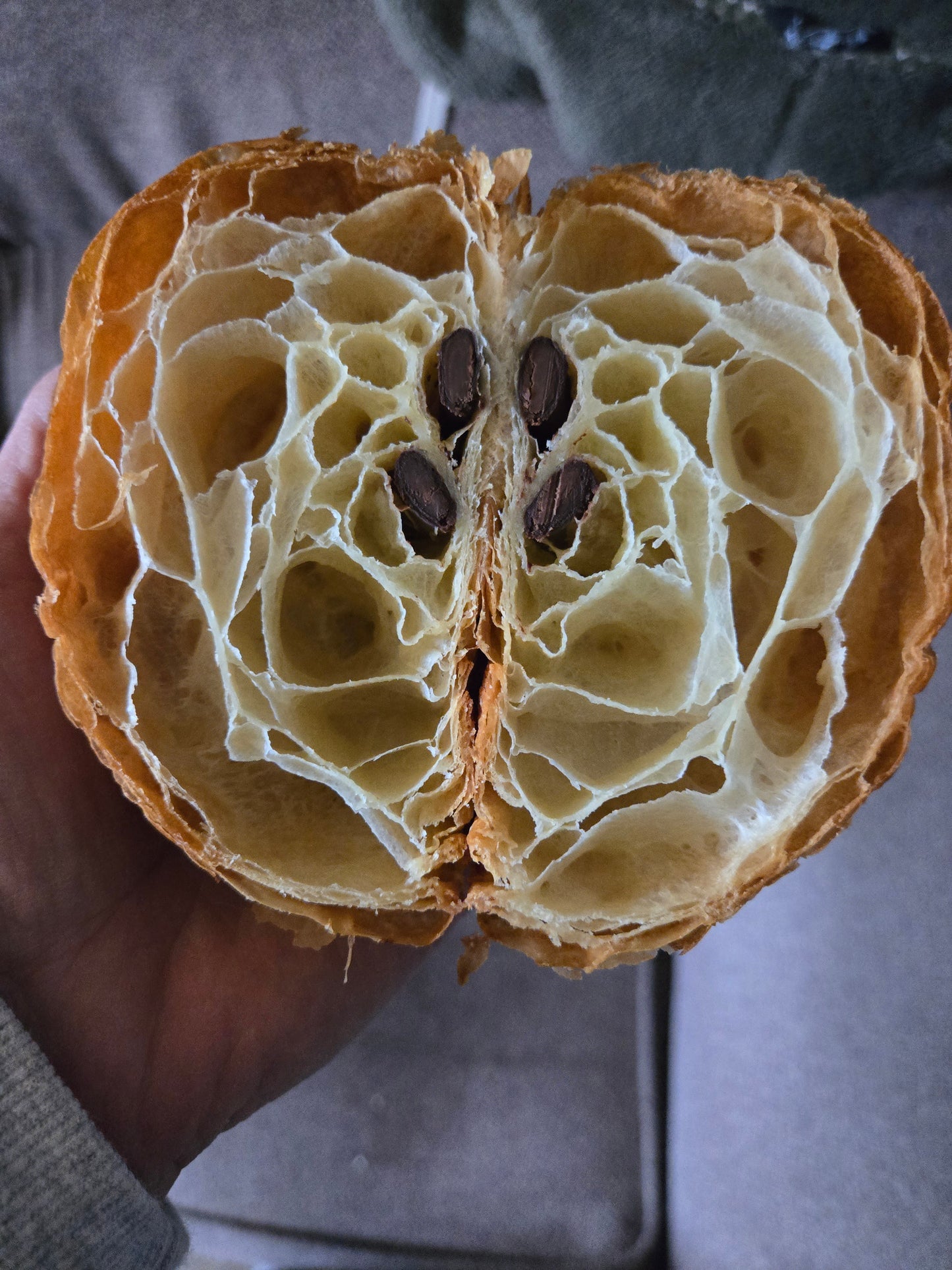 Chocolate Croissant