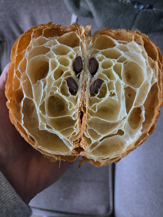 Chocolate Croissant