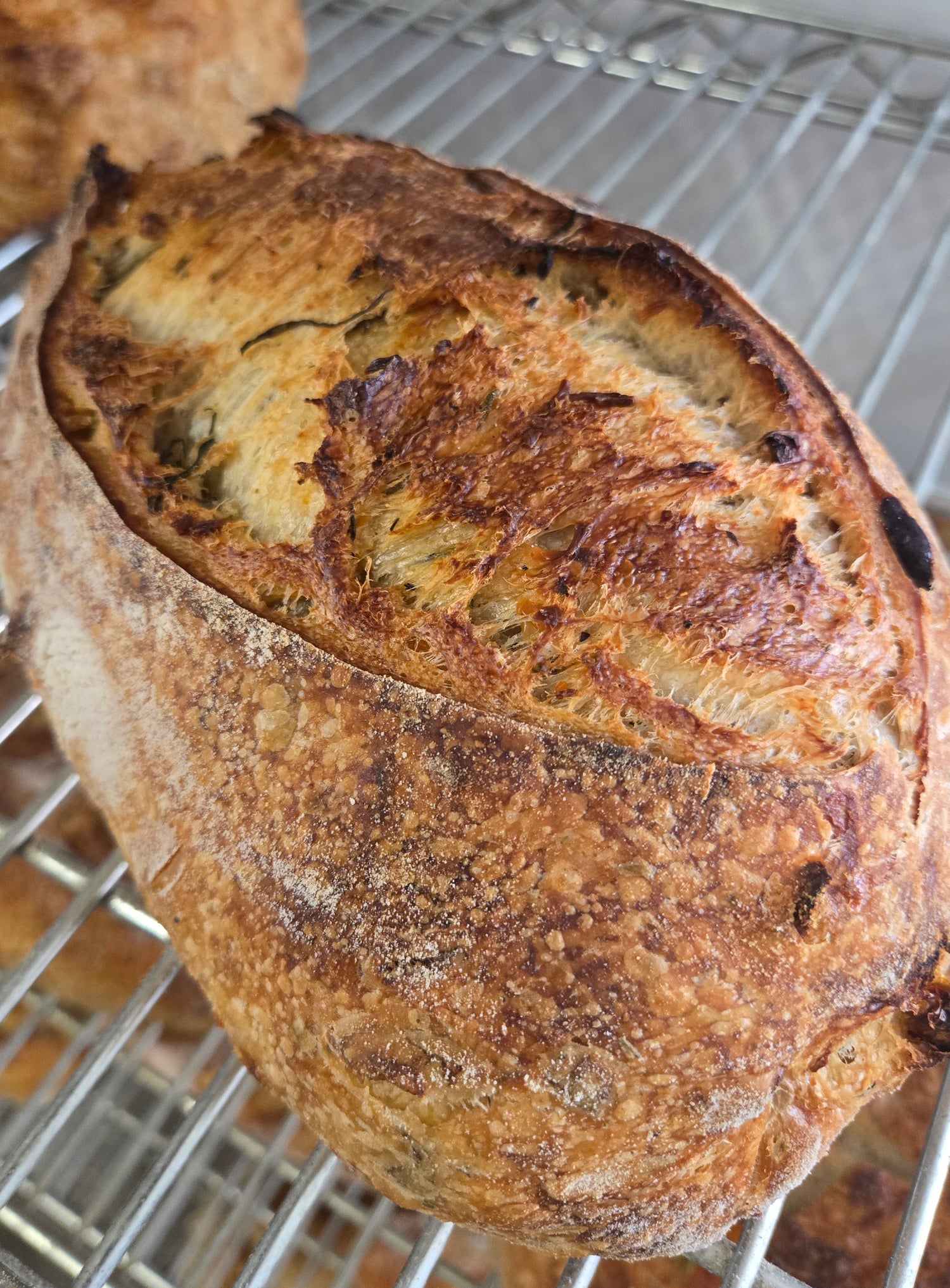 artisan loaves