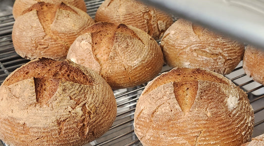 Seeded Gluten Friendly Bread